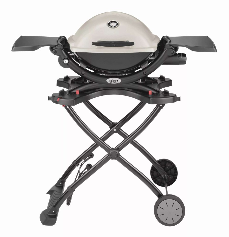 Grills & Outdoor Cooking * | Weber Gas Grills Q 1200 Titanium 8500-Btu 189-Sq In Portable Gas Grill